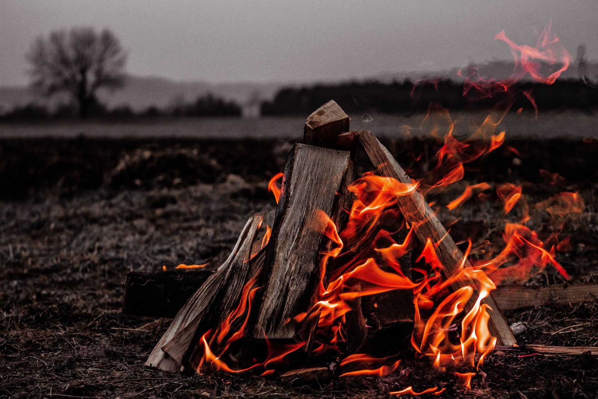 Campfire Safety Around Children