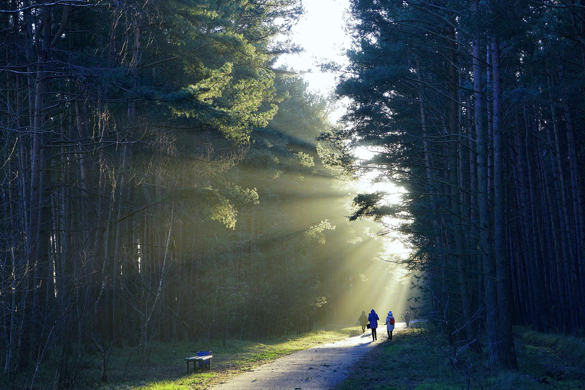 What to Do If You Get Lost Outdoors: A Beginner’s Guide