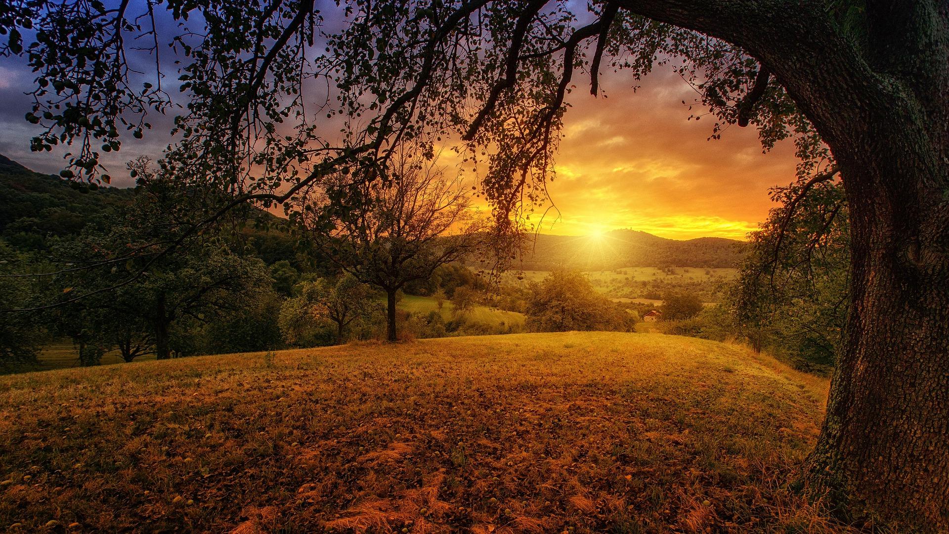 Morning Camp Routine: How to Start the Day at Camp