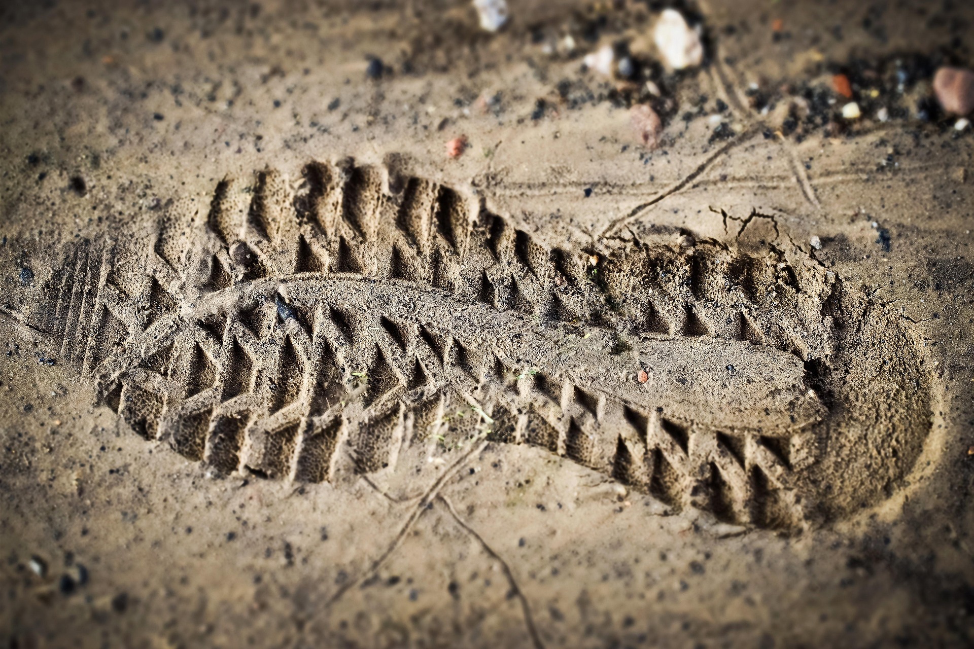 30-Minute Activity Plan: Leave No Trace Challenge