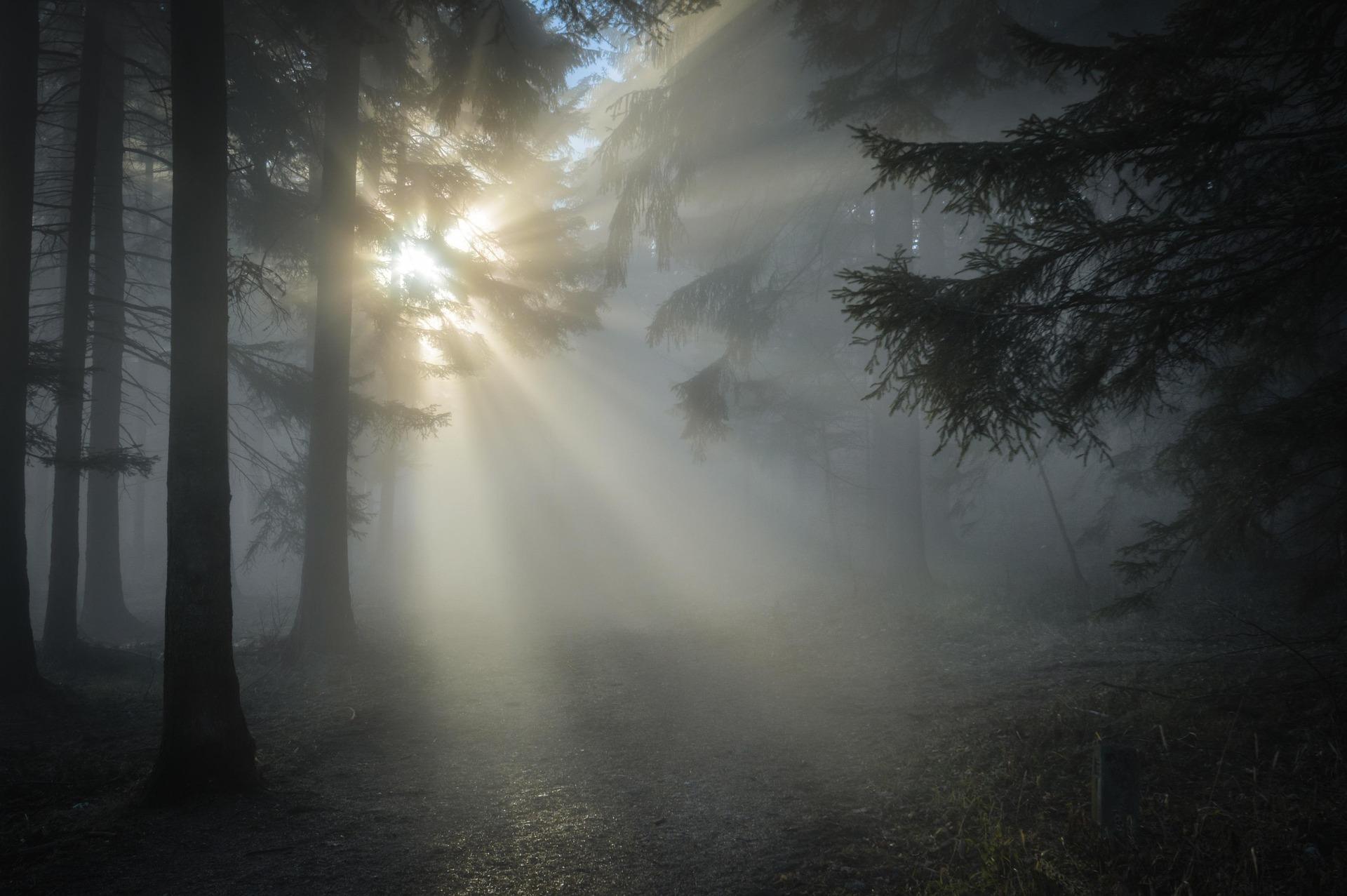 navigating in poor visibility