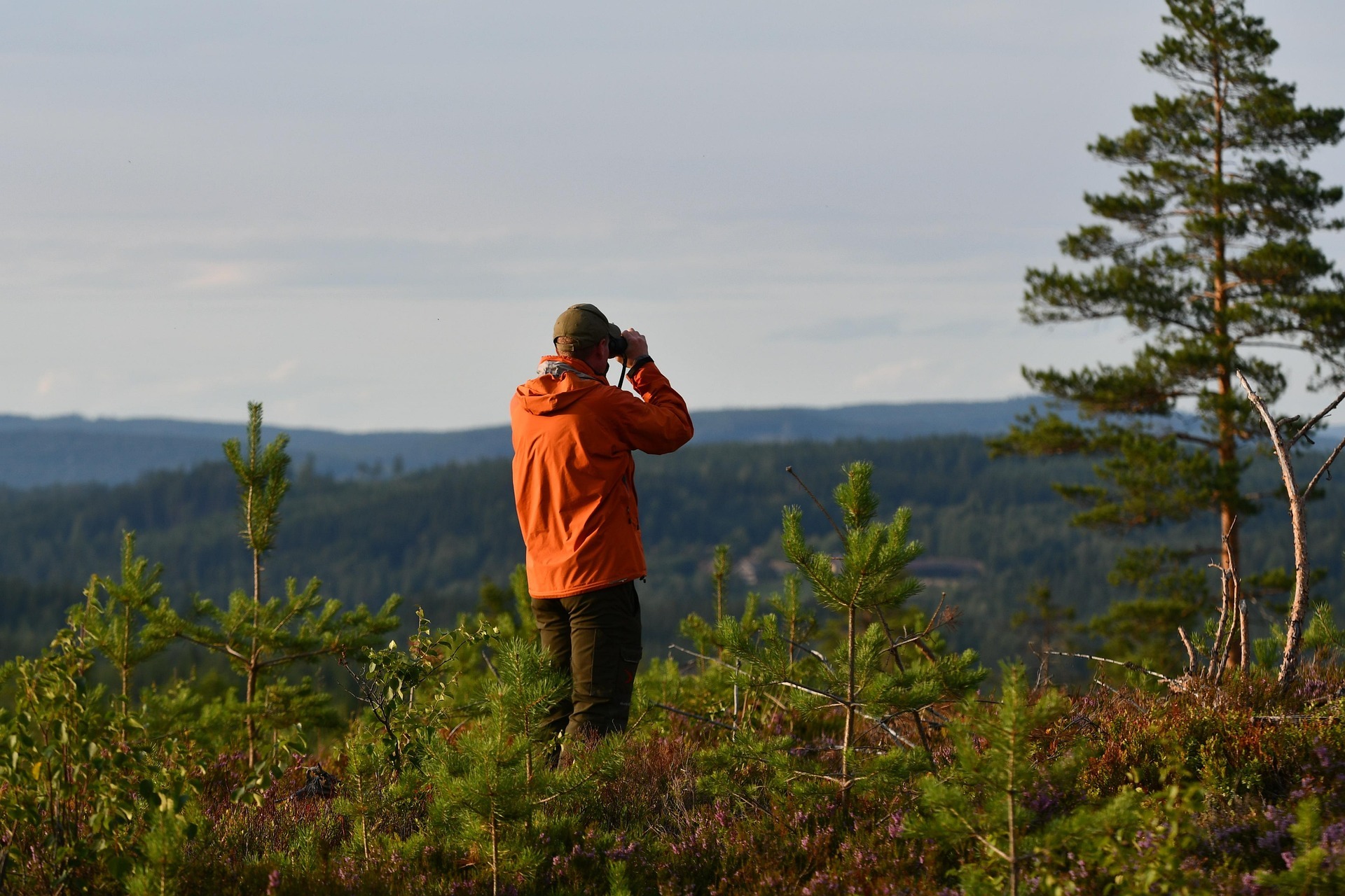 Camp Watch Systems: Setting Up a Safe Camp Watch