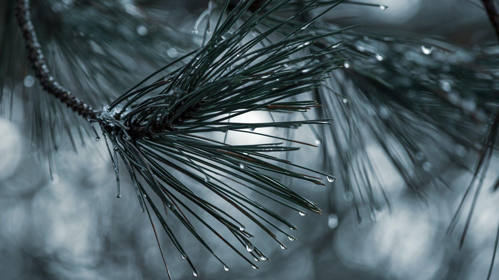 30-Minute Activity Plan: Cold, Wet & Windy Challenge