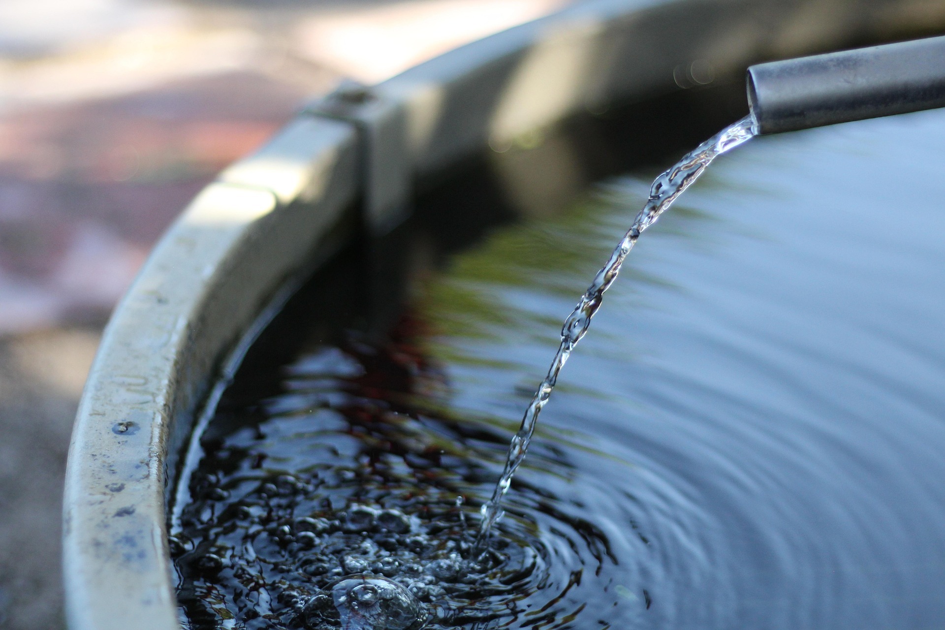 How to Collect Water Without Contaminating It
