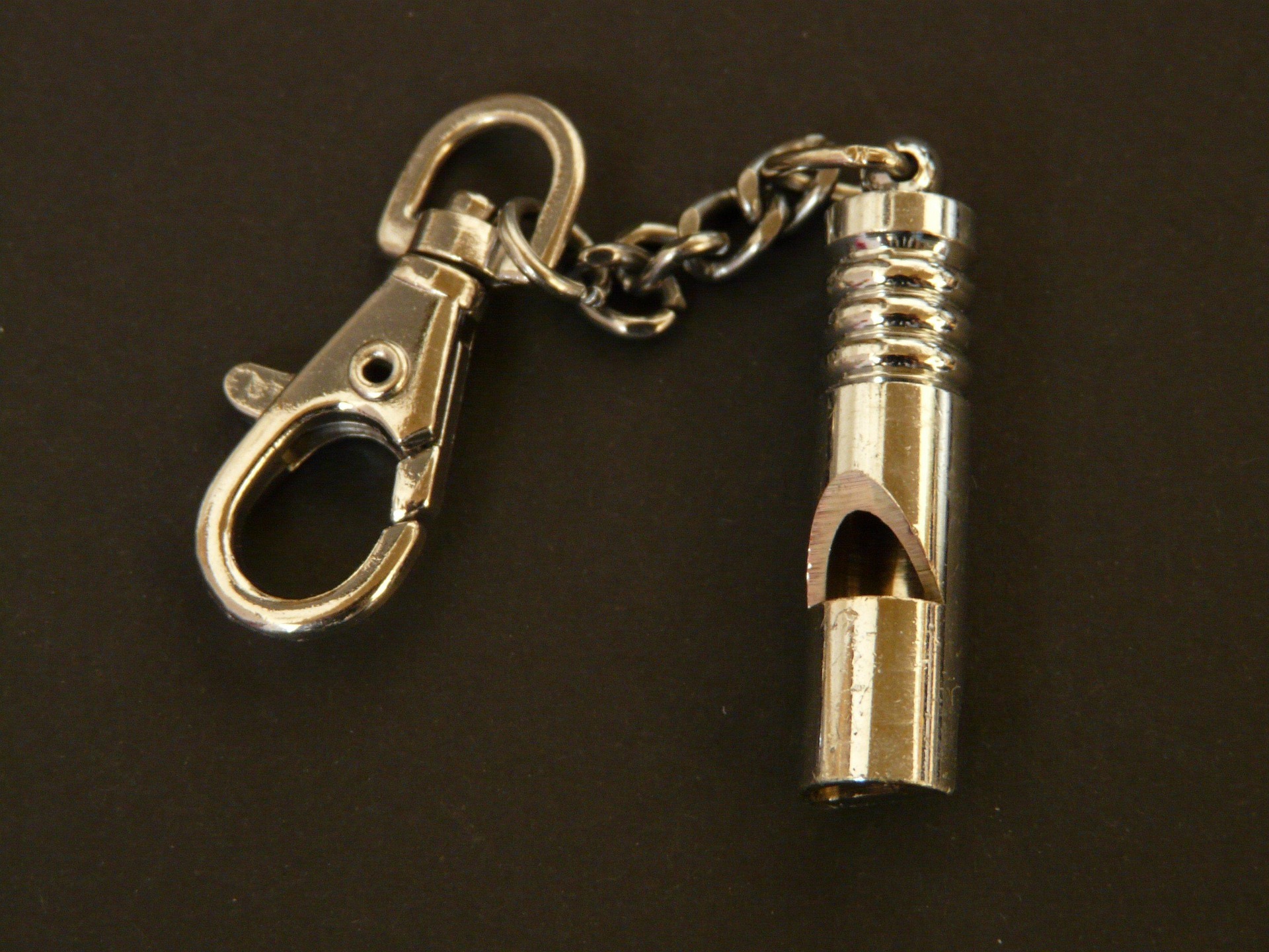 How to Use a Whistle for Signalling