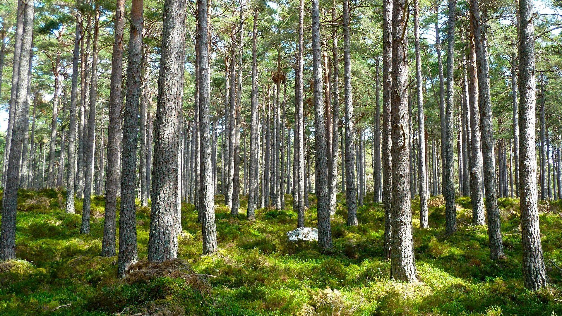 Route Planning: A Beginner's Guide 2 how to choose a campsite