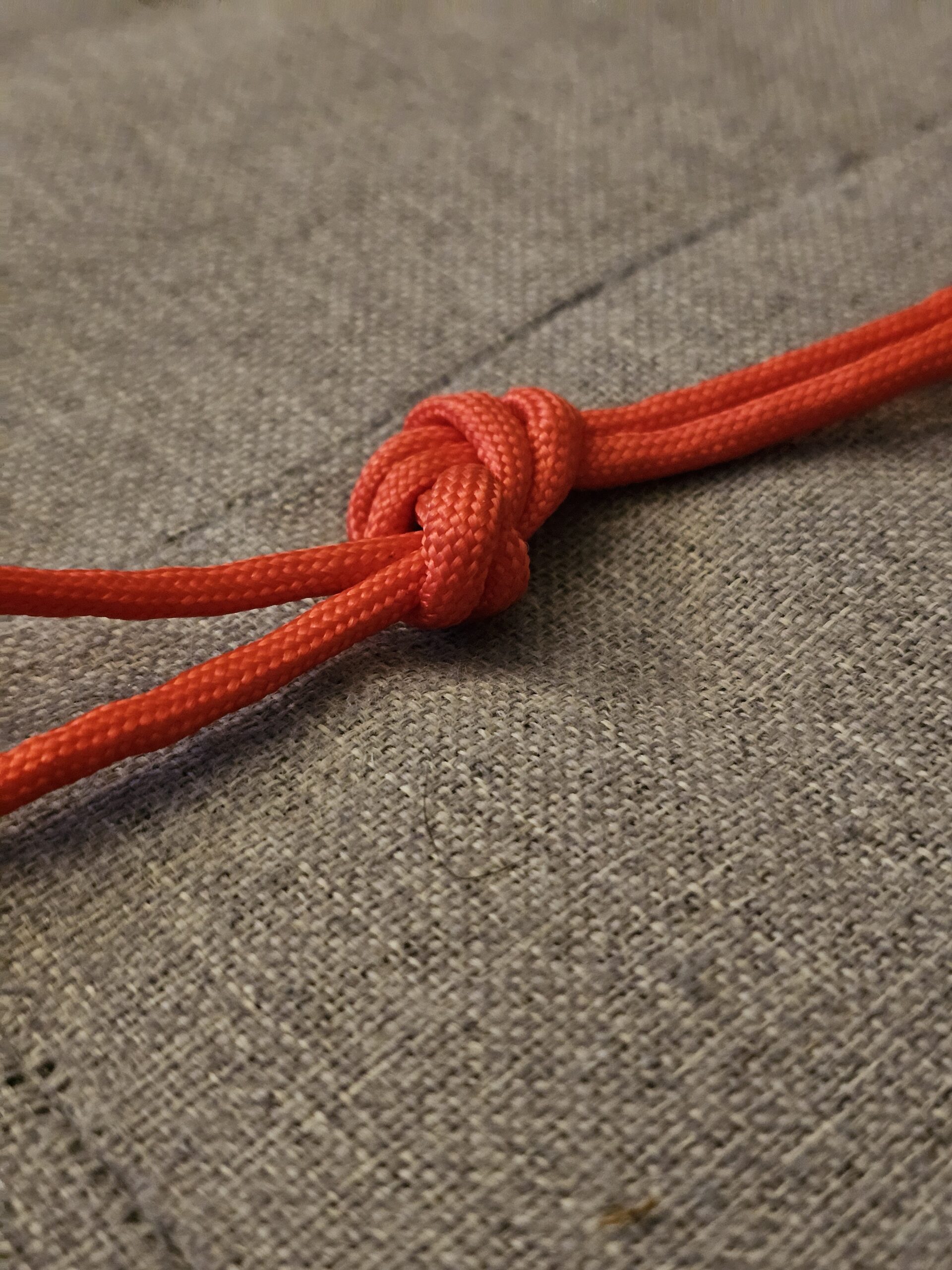 Figure eight on a bight