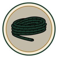 knots explorer